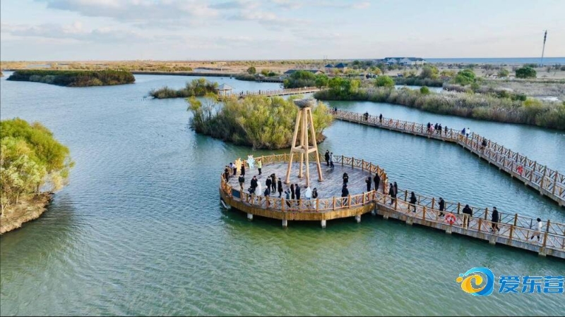 乒超格局悄 乒超格局悄