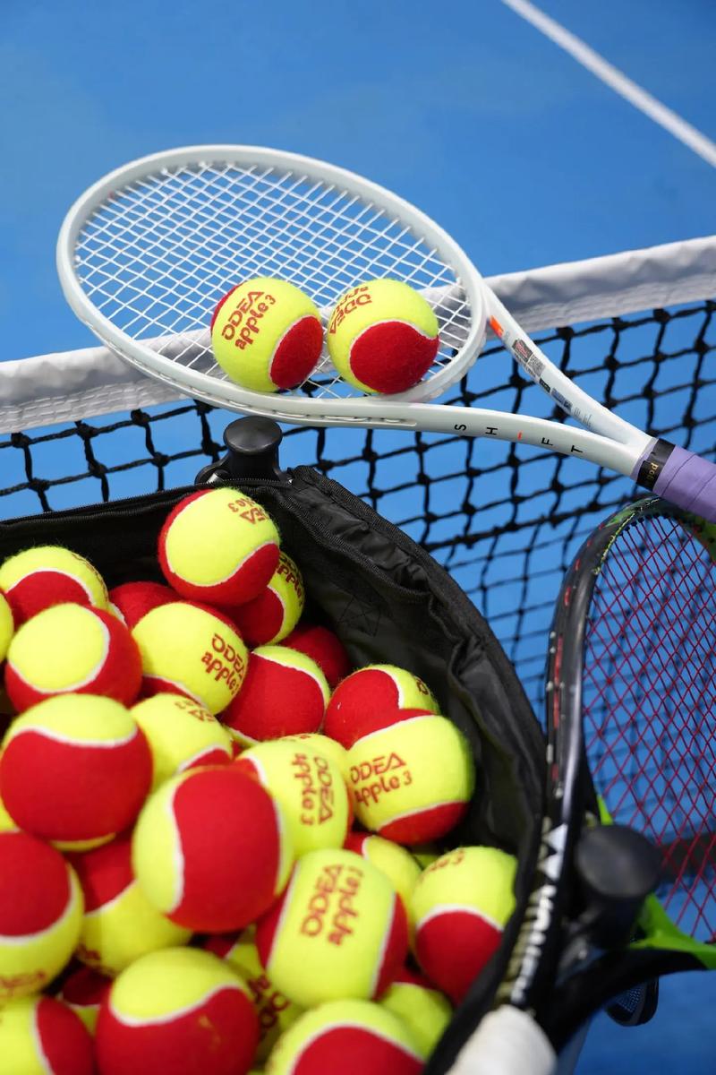 达的召唤师 达的召唤师